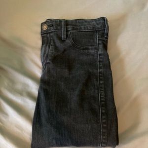 Hollister Jean